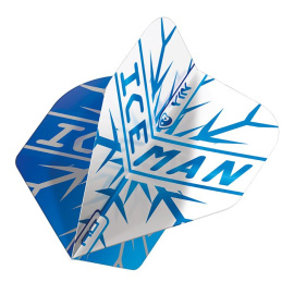 Gerwyn Price Yin Yang dart flights TF6969